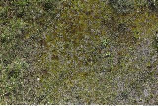 Photo Textures of Mossy 0001
